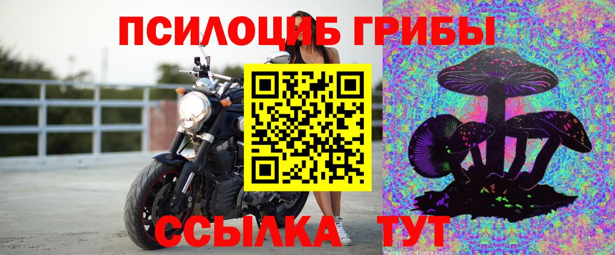 Качканар  Псилоцибиновые грибы Magic Shrooms  Вход с VPN 